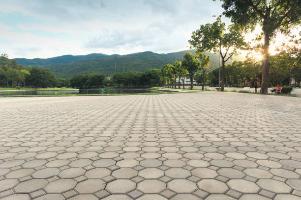 Best Professional Driveway Pavers  in Southwest Sandhill, TX